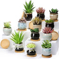 Small Succulent Pots 24 Pack - Mini Ceramic Planters with Saucers