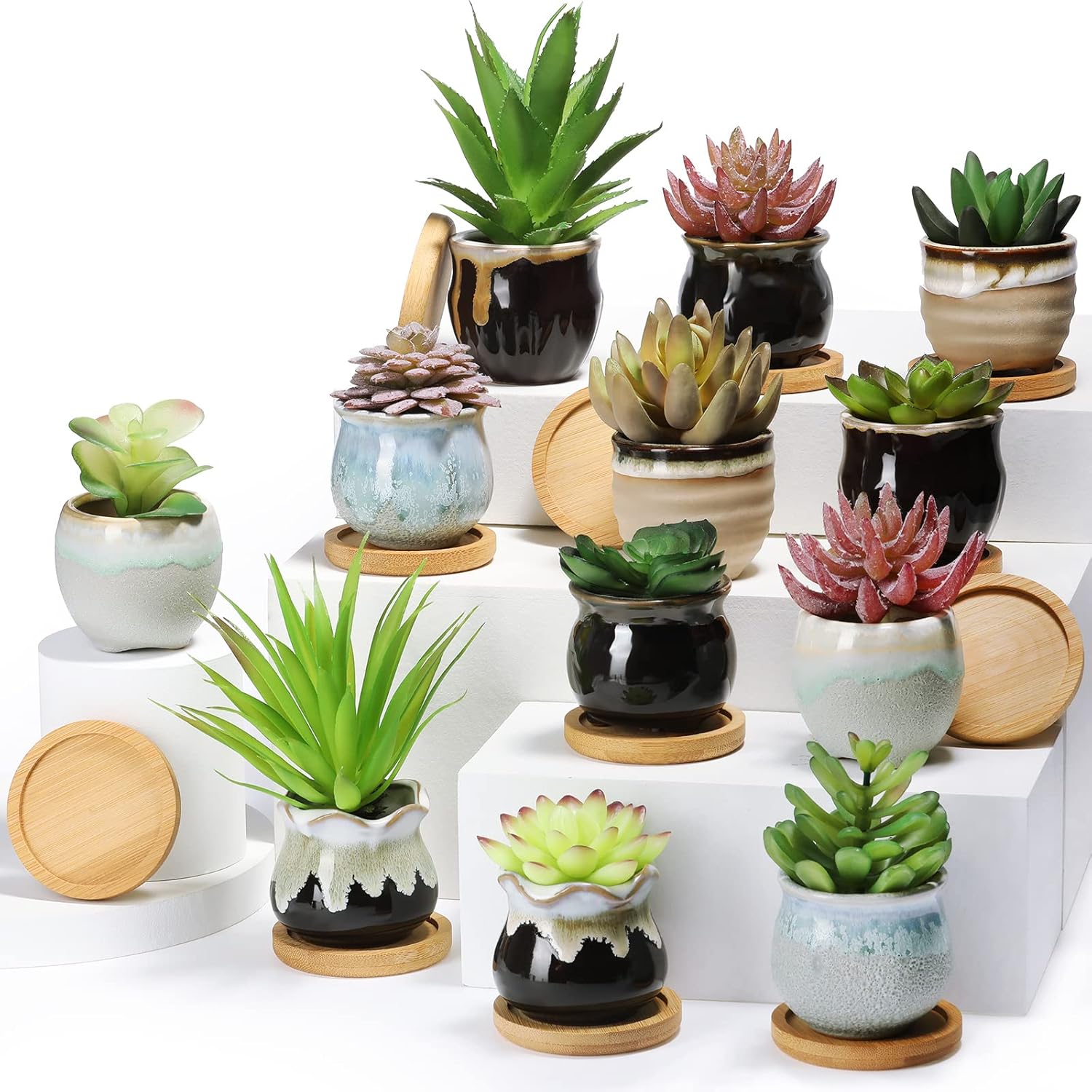 24 Pcs Small Succulent Pots with Drainage for Home Office
