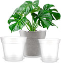 Clear Nursery Pots with Drainage Holes for Healthy Plants