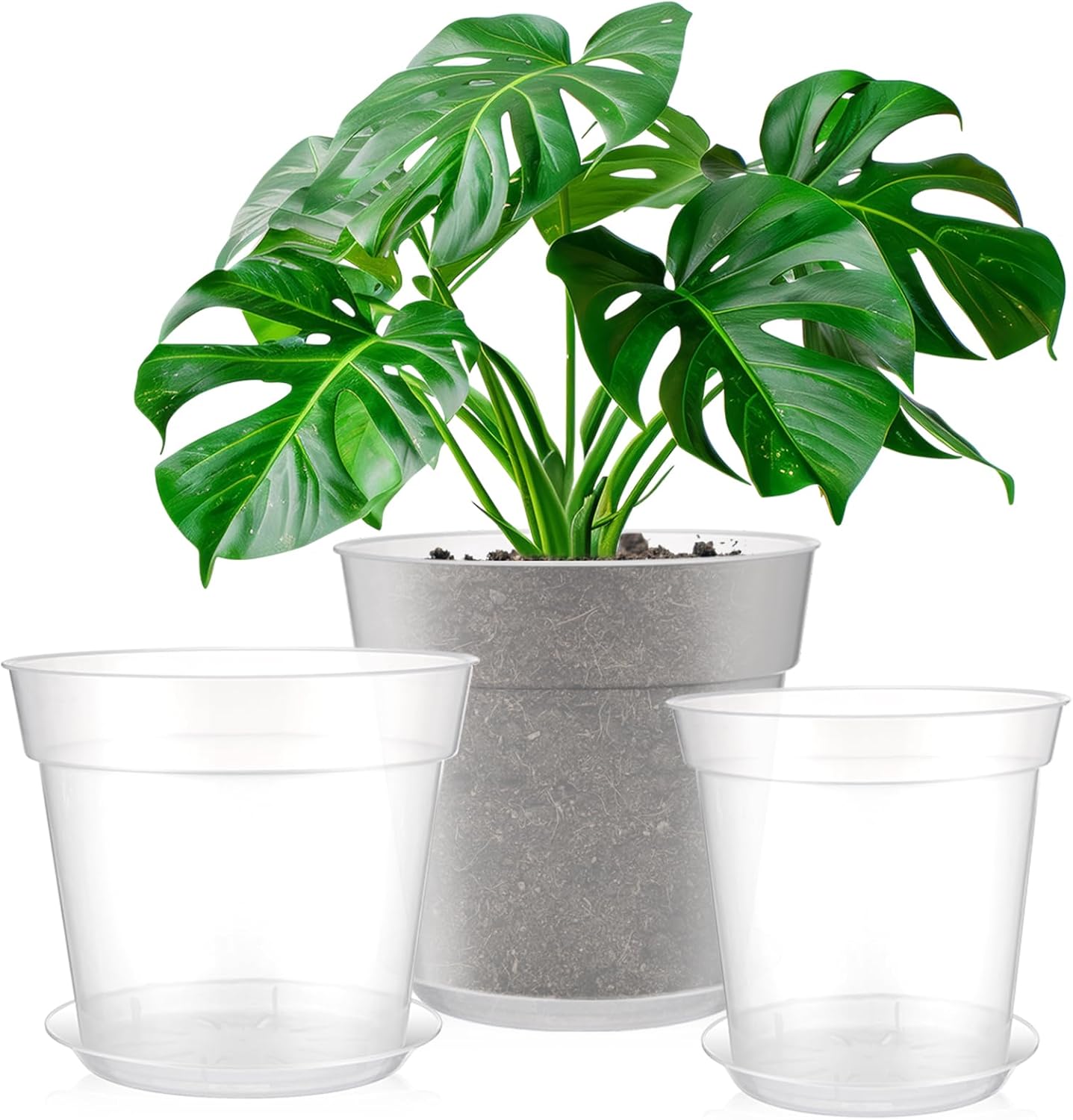 Clear Nursery Pots with Drainage Holes for Healthy Plants