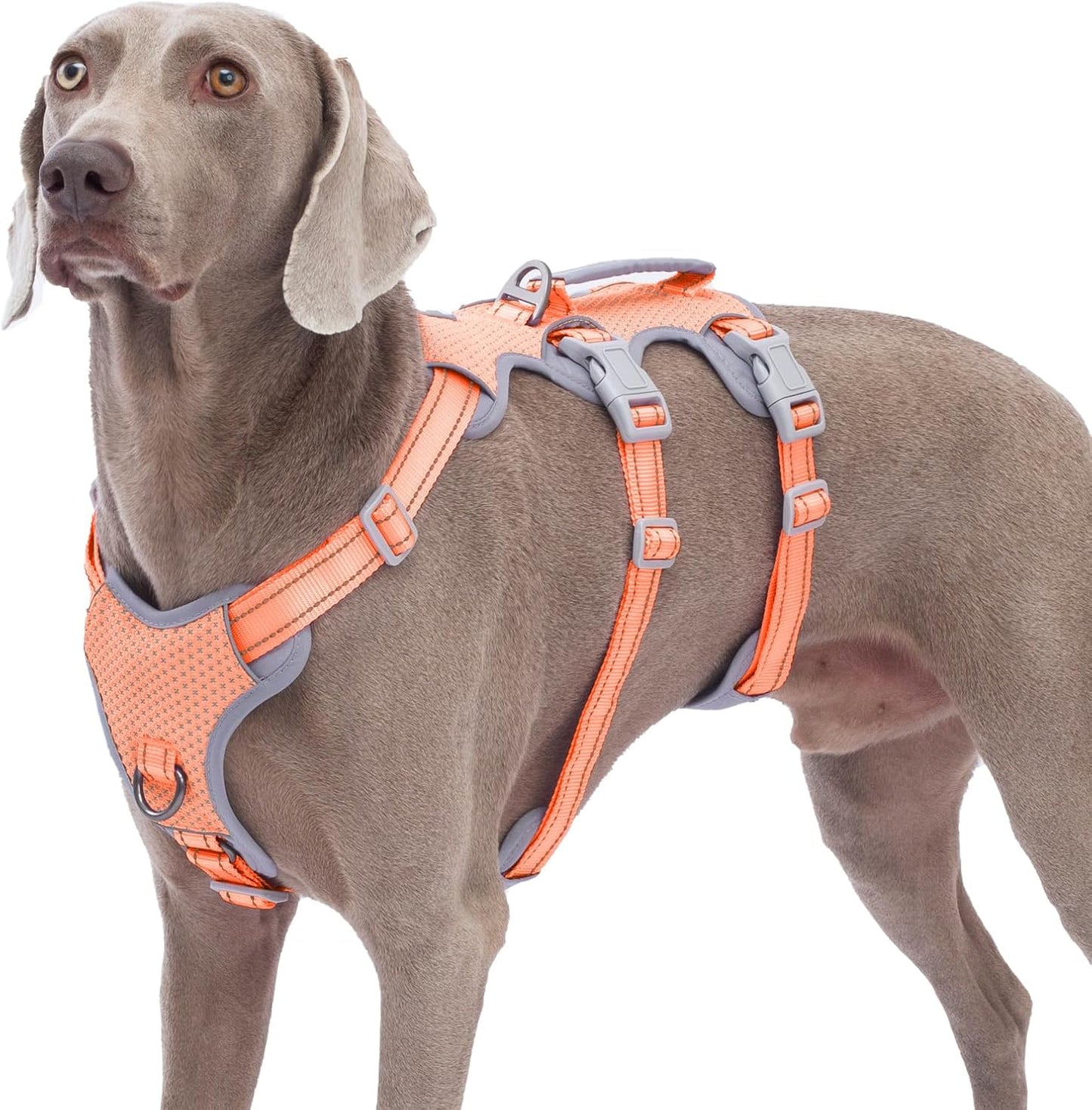 Escape Proof Dog Harness for All Sizes with Reflective Safety
