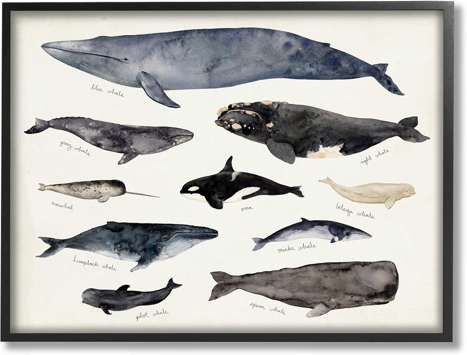 Vintage Nautical Chart of Whales Ocean Life for Home Decor