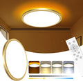 Zemty 12 in LED Ceiling Light With Night Light - Dimmable, Remote