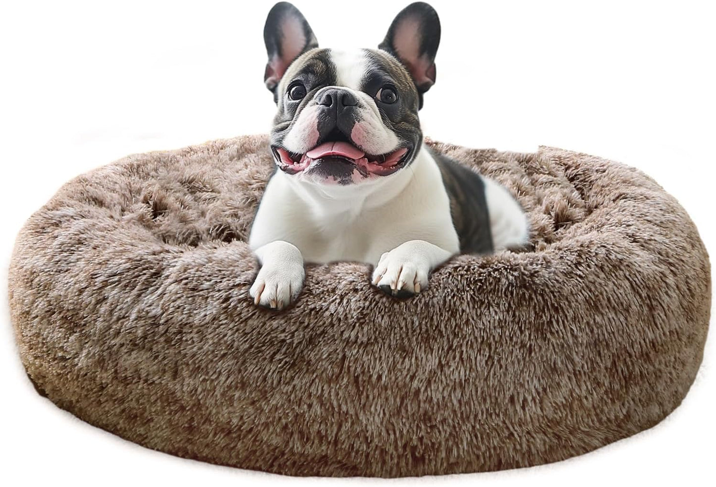 JOLLYVOGUE Medium Calming Dog Bed for Ultimate Comfort
