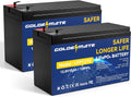 12V 10Ah LiFePO4 Lithium Deep Cycle Battery (2-Pack) - Long Life