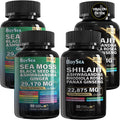 Boysea Shilajit and Sea Moss Bundle for Vitality and Health