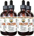 Lomatium Alcohol-Free Liquid Extract 4x4 oz - Concentrated Herbal