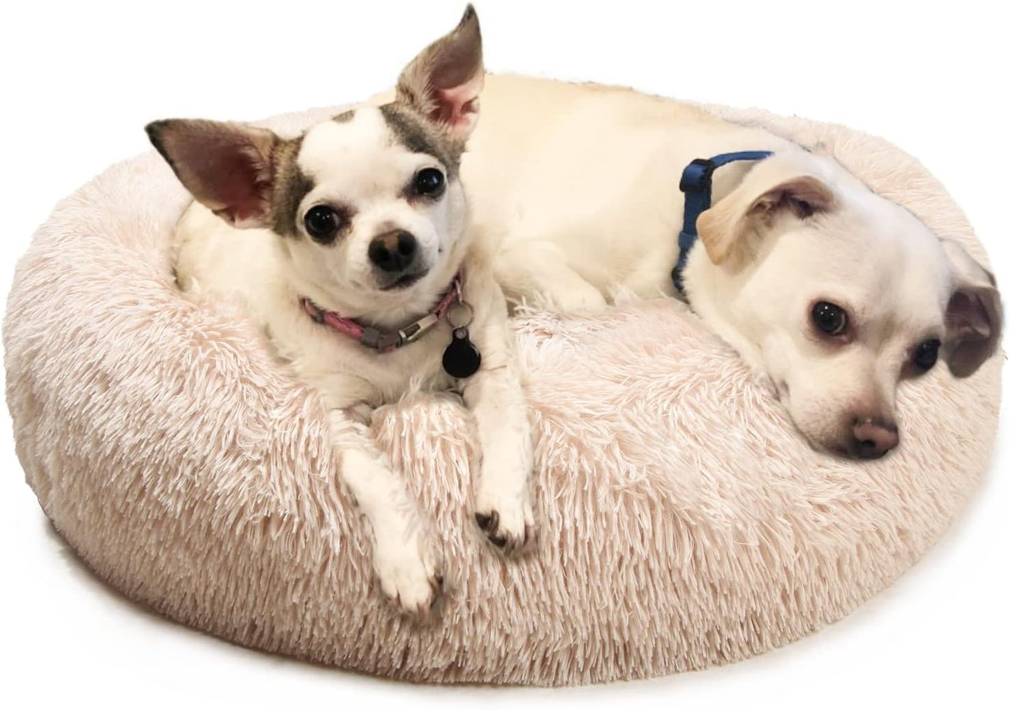 Calming Dog Bed for Small to Large Dogs - Cozy and Anti-Anxiety