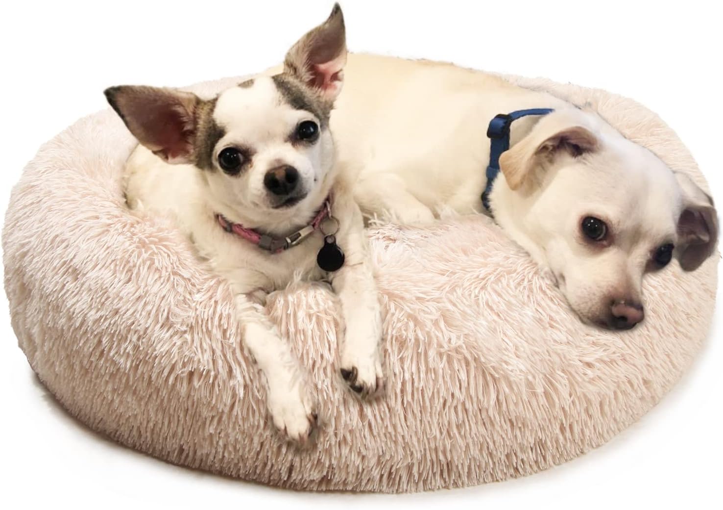 Calming Dog Bed for Small to Large Dogs - Cozy and Anti-Anxiety