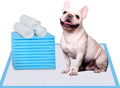 Puppy Pee Pads 22x23 - Super Absorbent Leak-Proof Training Pads