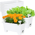 Self-Watering Rectangle Planter Boxes 8-Pack - Low-Maintenance Herb