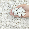 20 lbs White River Rocks for Landscaping and Indoor Plants