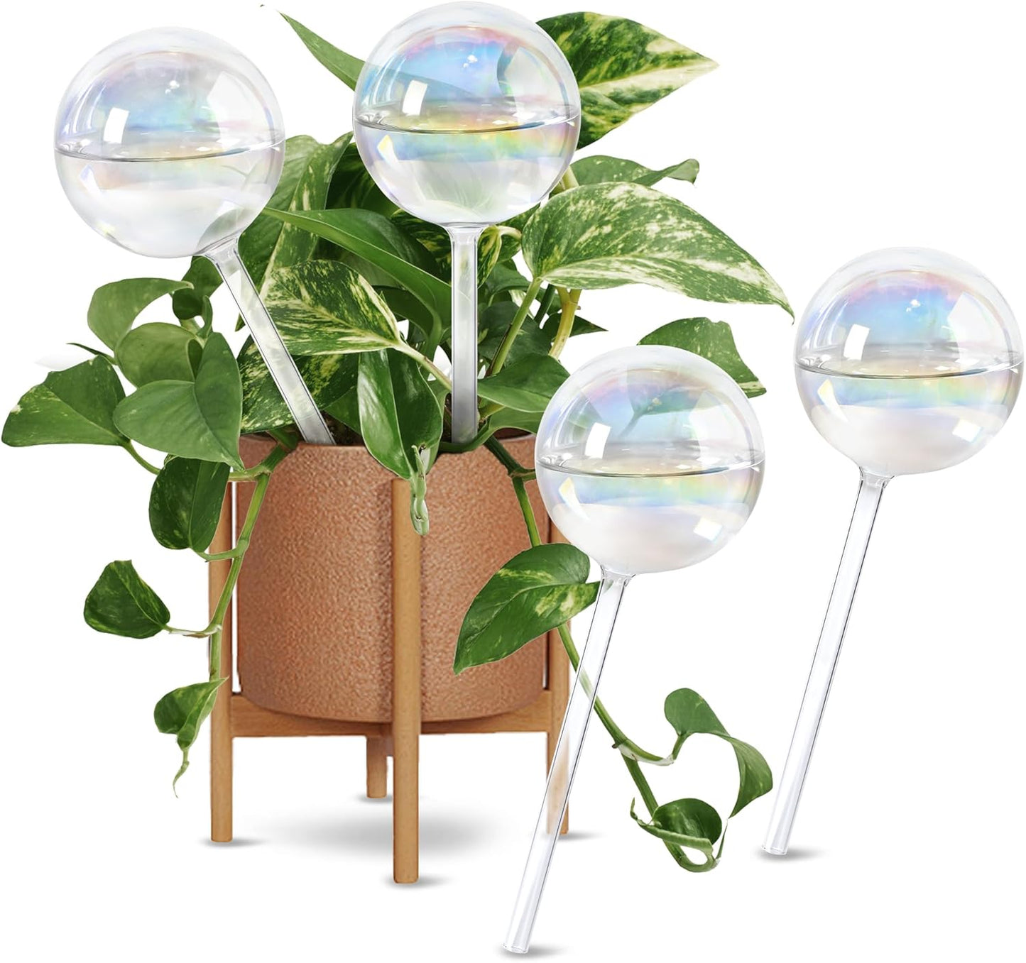 13oz Self Watering Globes for Indoor & Outdoor Plants Care