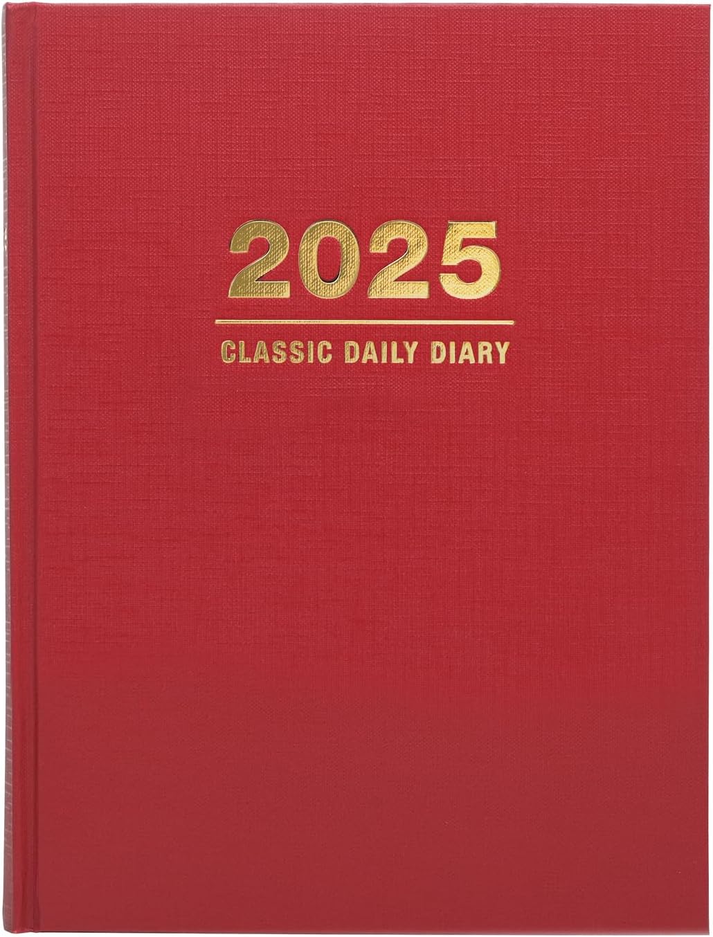 2025 professional daily diary planner stay organized in style