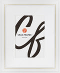 Craig Frames 314WG 17x22 Picture Frame Matted for 13x19 Photo - Ornate