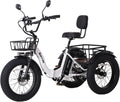 Electric Tricycle for Adults with 750W Motor and Fat Tires