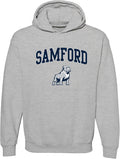 UGP Campus Apparel College Team Color Arch Logo Hoodie - Samford Pride