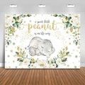 Mocsicka Baby Elephant Backdrop for Sweet Little Peanut Party