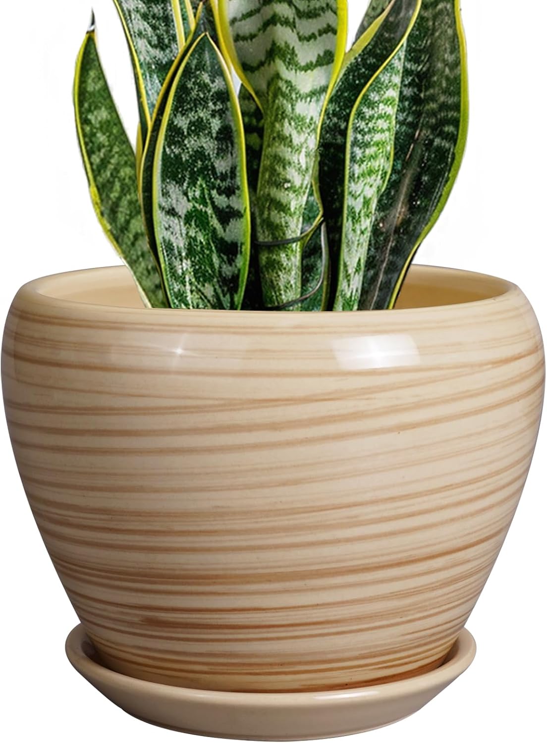 8 Inch Indoor/Outdoor Ceramic Plant Pot with Drainage Hole