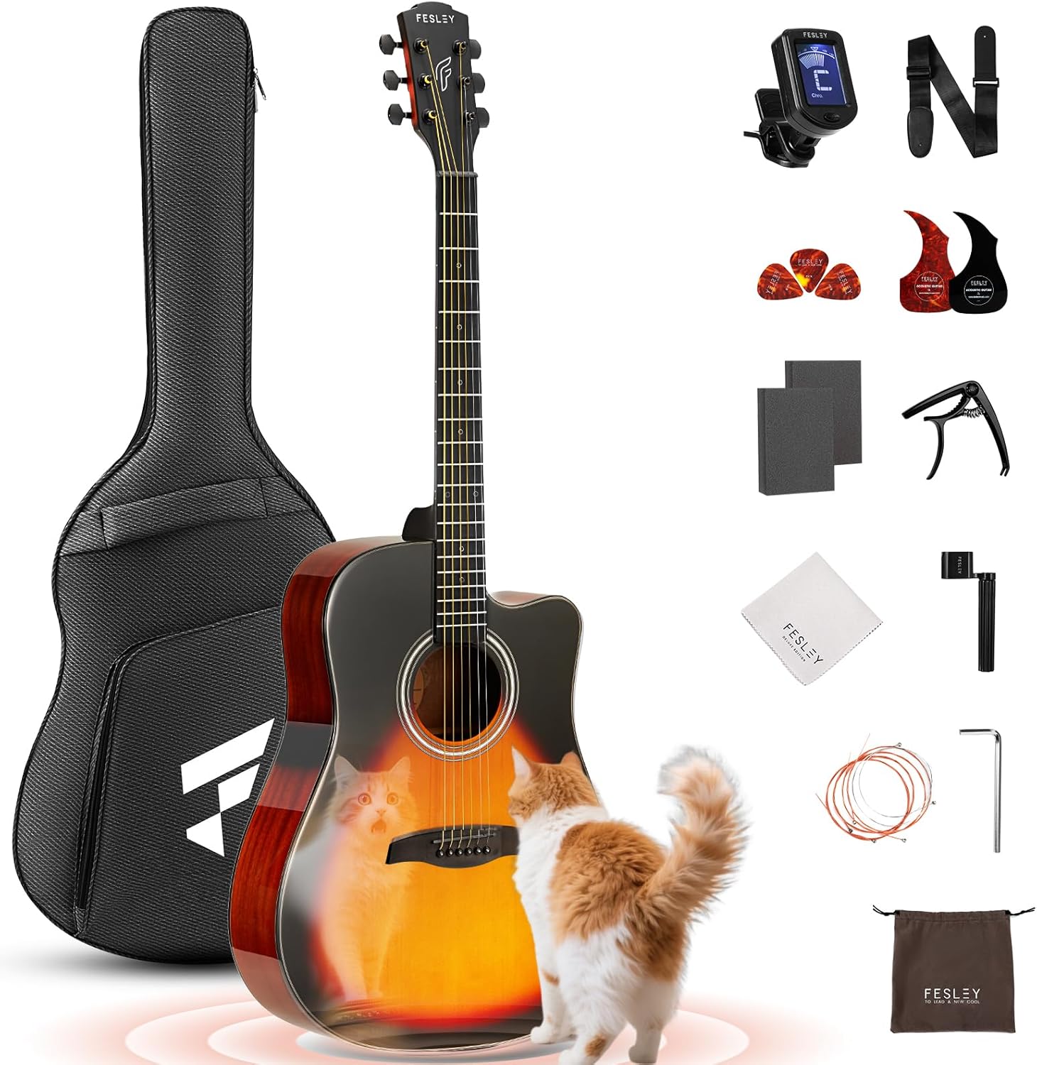 Acoustic Guitar Kit for Beginners with Complete Accessories