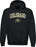 UGP Campus Apparel College Arch Logo Hoodie - Official Licensed in