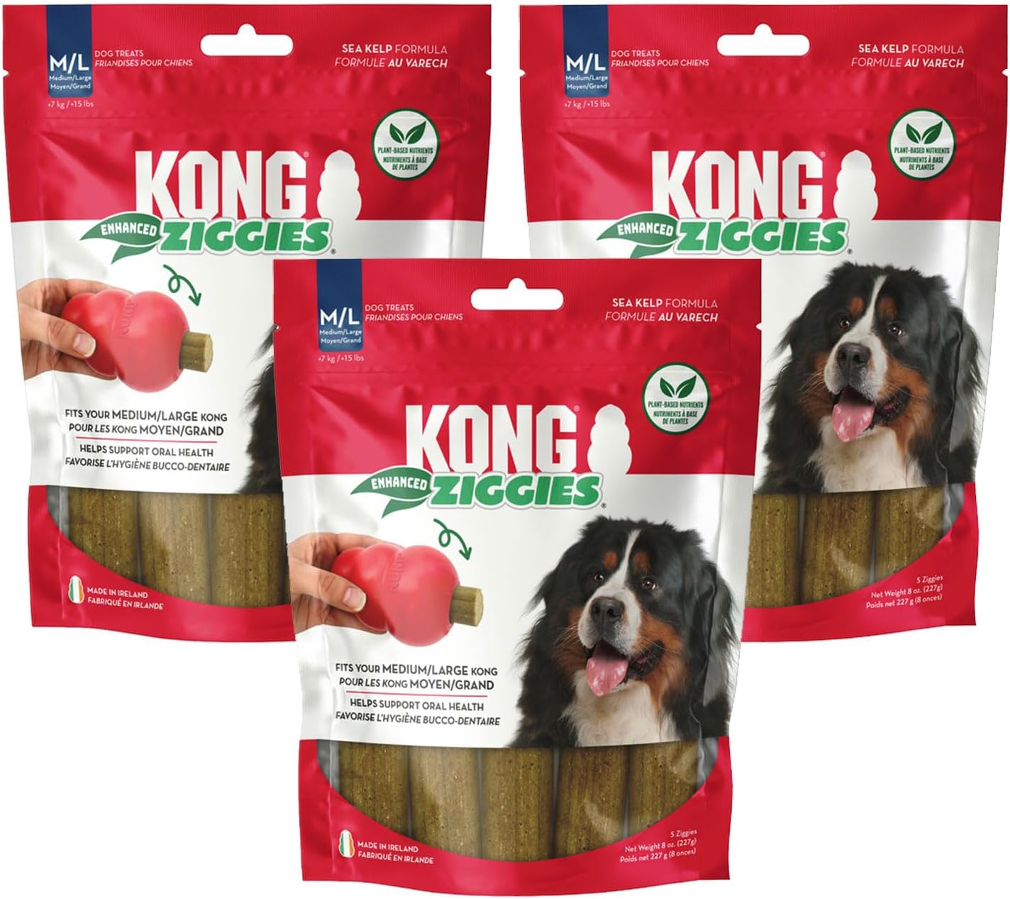 Kong Enhanced Ziggies Large Dog Treats for Healthy Dogs