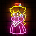 Princess Neon Signs Crown Neon Lights for Wall Decor - Cute 17x9 in