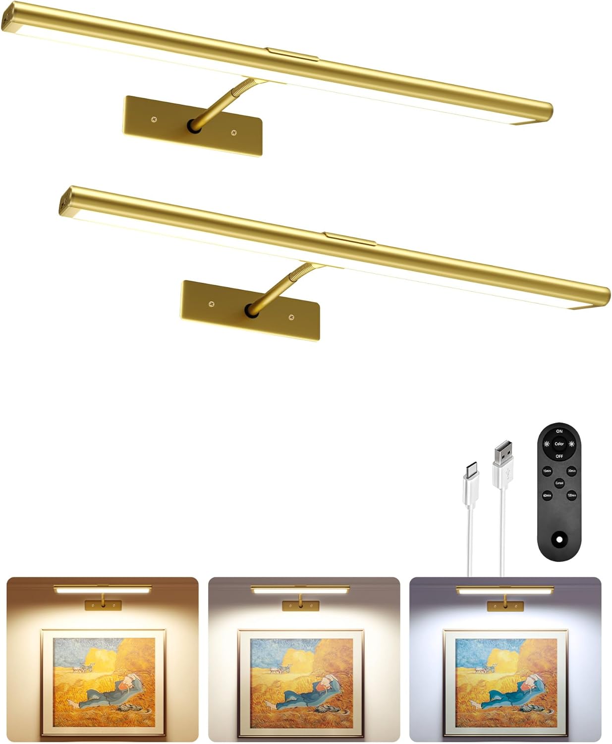 EZVALO 16ft' Dimmable Magnetic LED Picture Light for Art Display