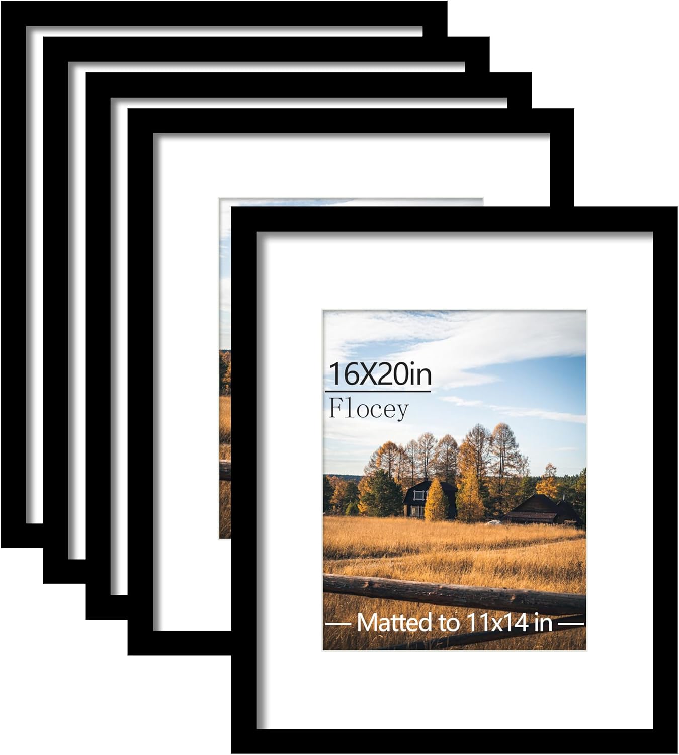 16x20 Picture Frame 5 Pack for Horizontal or Vertical Display