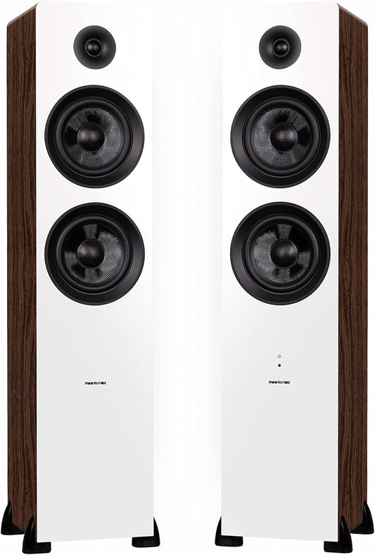 Immerse in Superior Sound with Fluance Tower Speakers