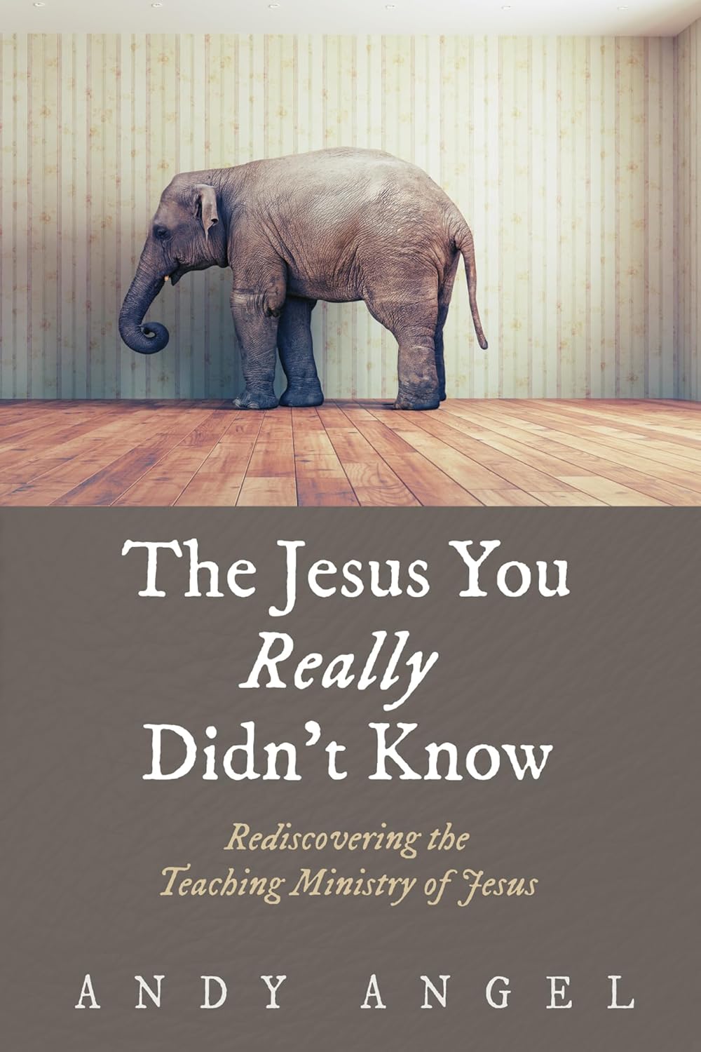 The Jesus You Really Didn't Know: Rediscovering His Teachings