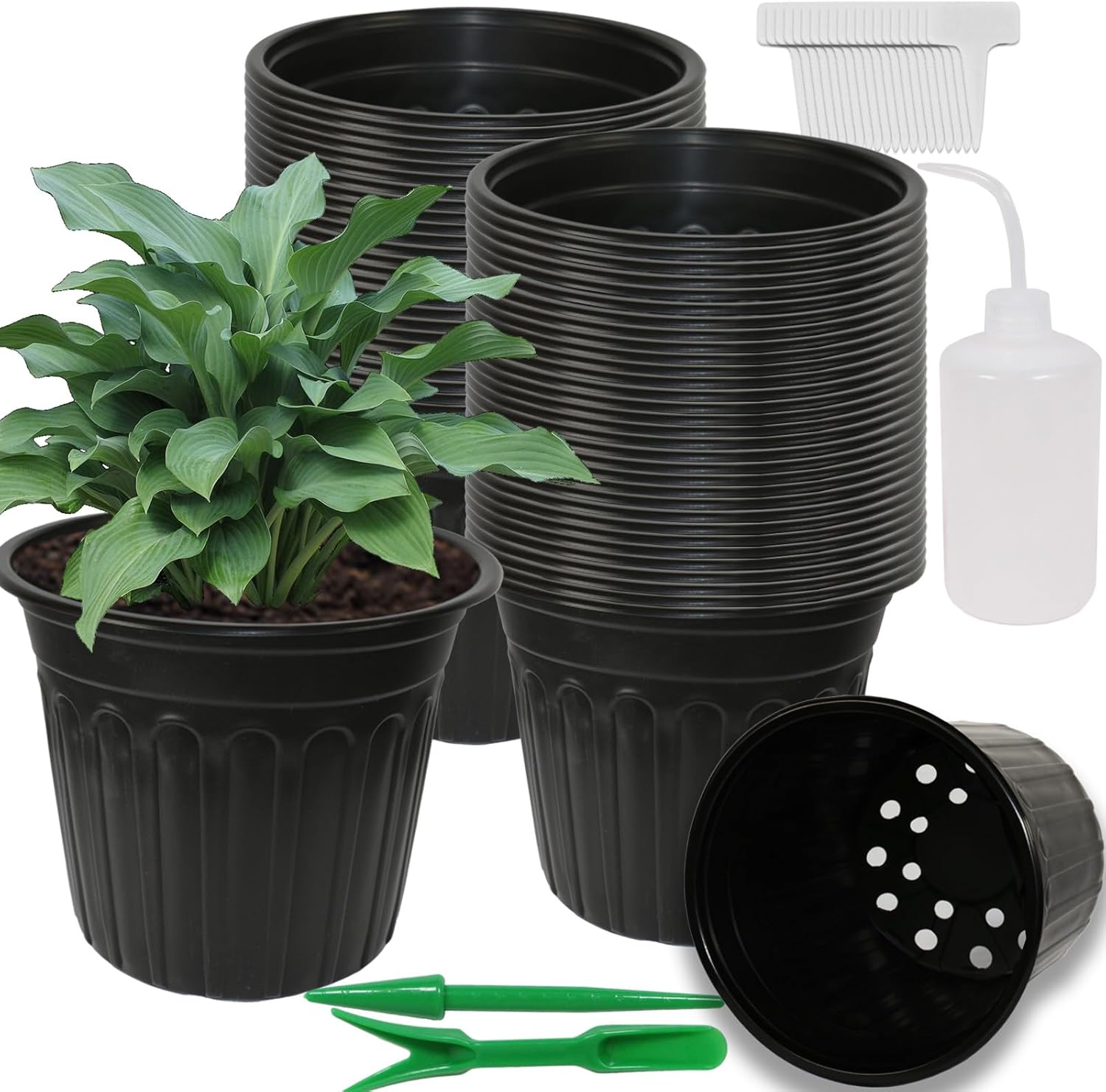 50-Pack 2.5 Gallon Flexible Plastic Plant Pots for Seedlings