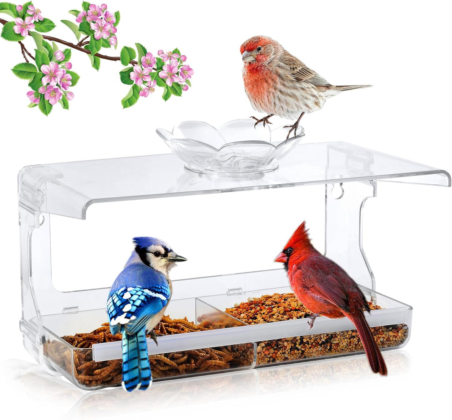 Clear Window Bird Feeder: Wild Bird Watching Joy!