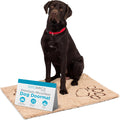 Internet's Best Chenille Dog Doormat 35 x 25 - Absorbent, Non-Skid