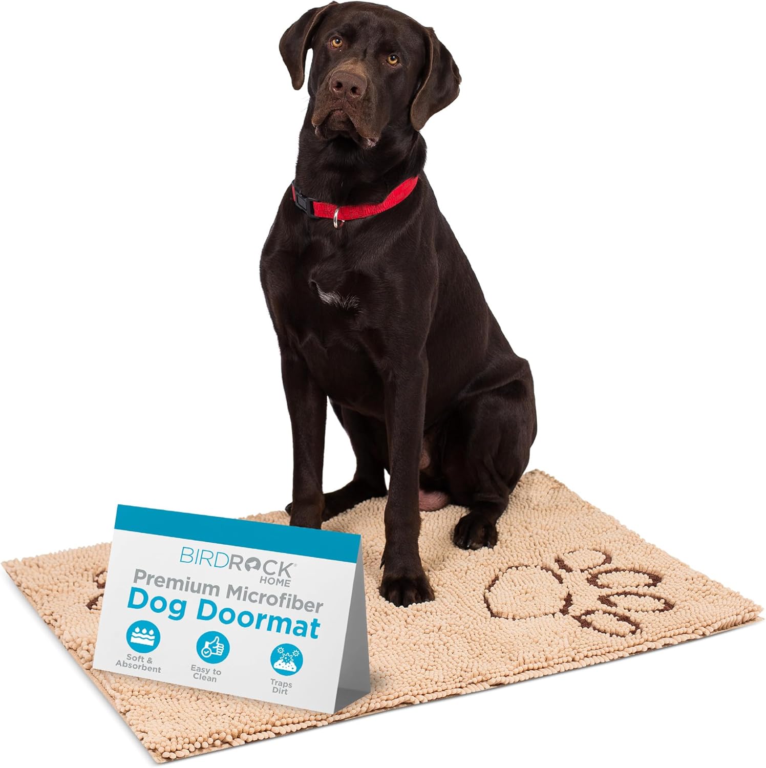 Chenille Dog Doormat - Soft, Absorbent, Non-Skid Design