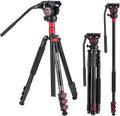 Avella A154P Video Tripod Monopod 78.3 in - Stable Video Support