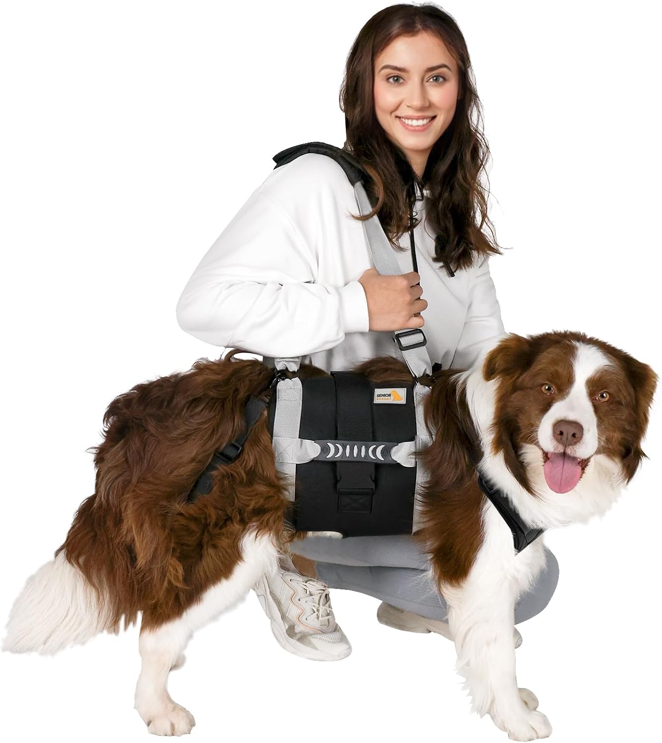 Dog Lift Harness for Large Dogs - Full Body Support Sling