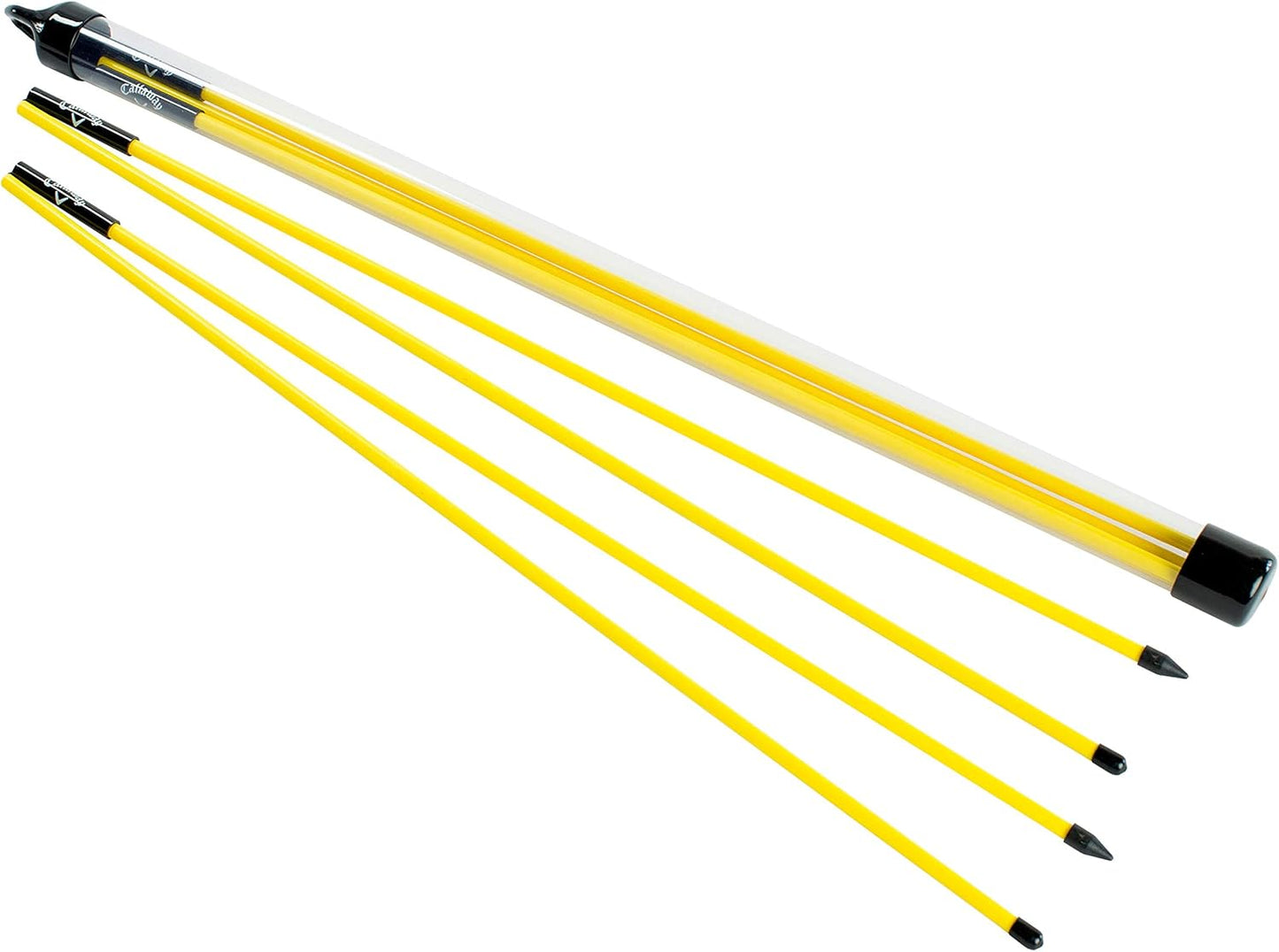 Improve Your Swing: Callaway Alignment Stix Set