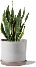 8 Inch Plant Pot Ceramic Planter with Drainage Hole & Saucer - Retro