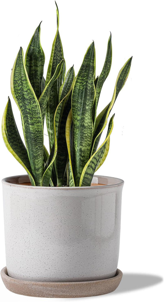8 Inch Ceramic Planter Pot with Drainage Hole & Saucer for Plants