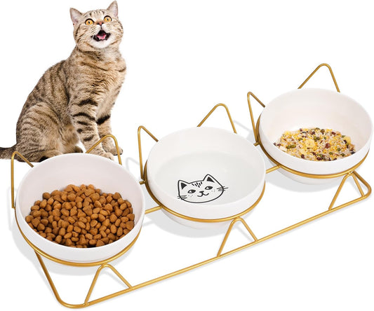 15 Tilted Raised Cat Bowls w/ 3 Ceramic Dishes