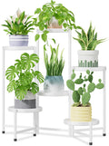 6 Tier Large Plant Stand with 9.8 in Wide Trays - Corner Metal Display