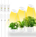 Halo Plant Grow Light Full Spectrum Desk Lamp - Adjustable Timer