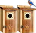 Bluebird Houses for Outside Pack of 2 - Weatherproof Wooden Nest Boxes