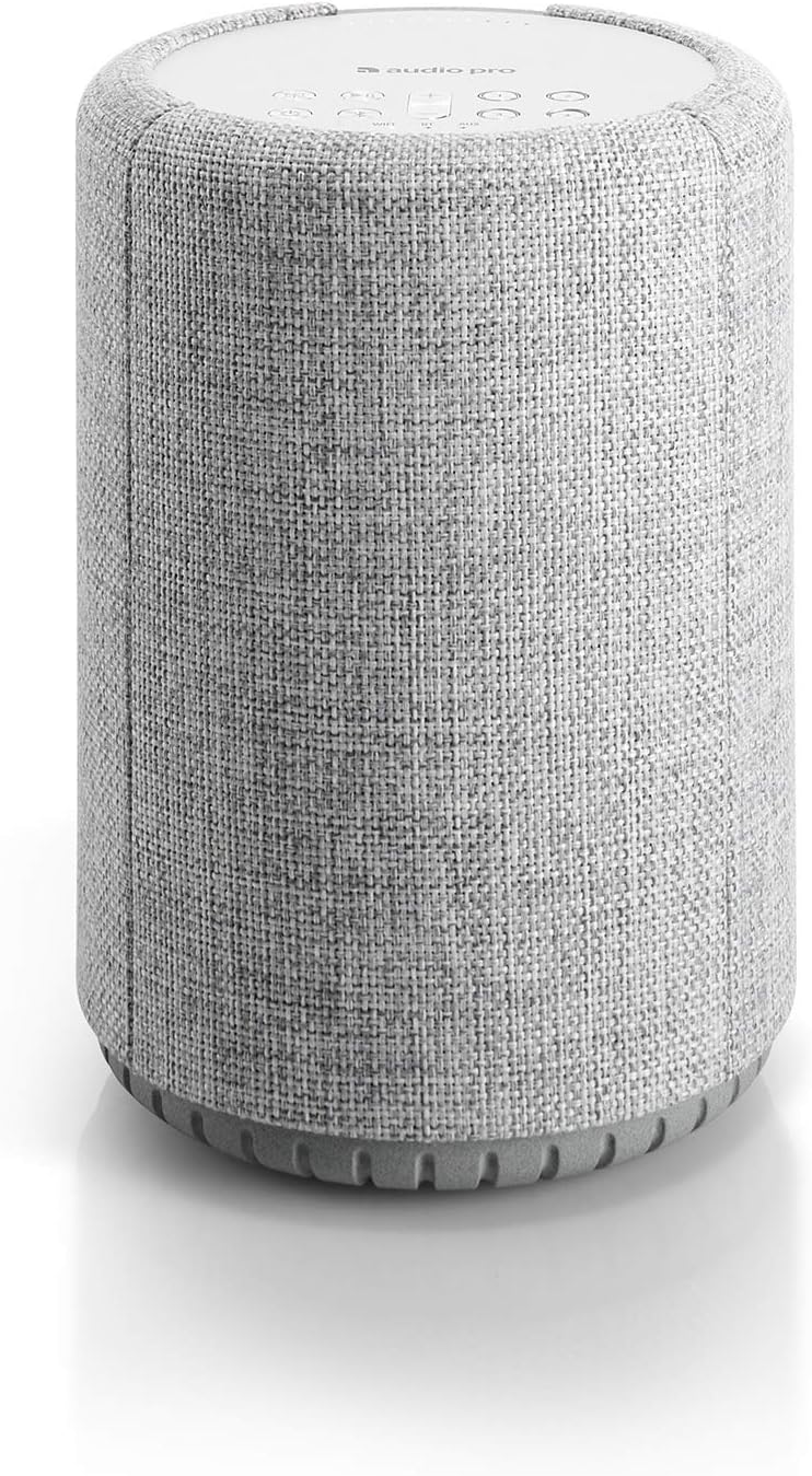 High Fidelity Alexa Speaker: Portable & Versatile