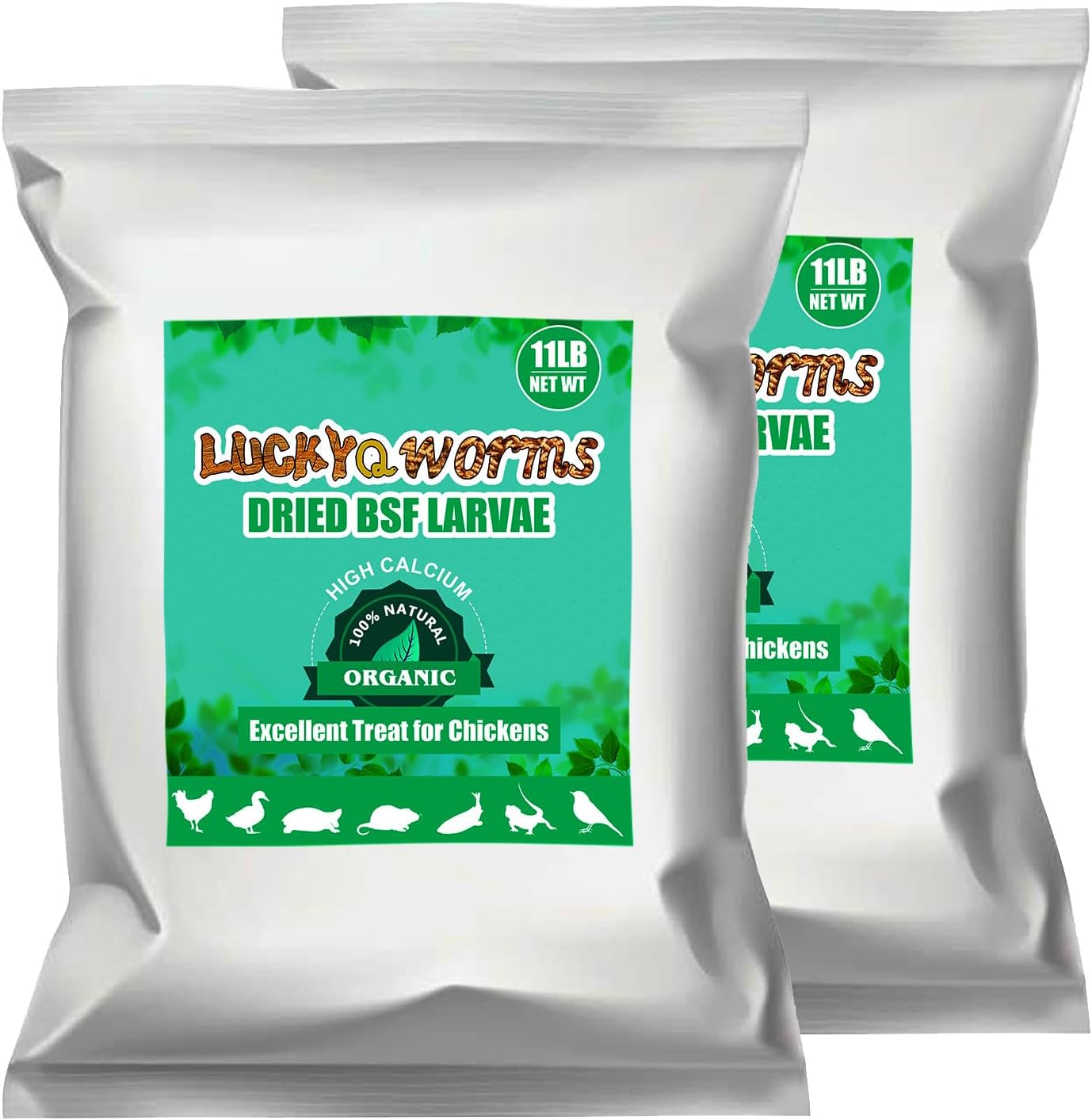 Dried Black Soldier Fly Larvae for Chickens, Ducks, and Birds