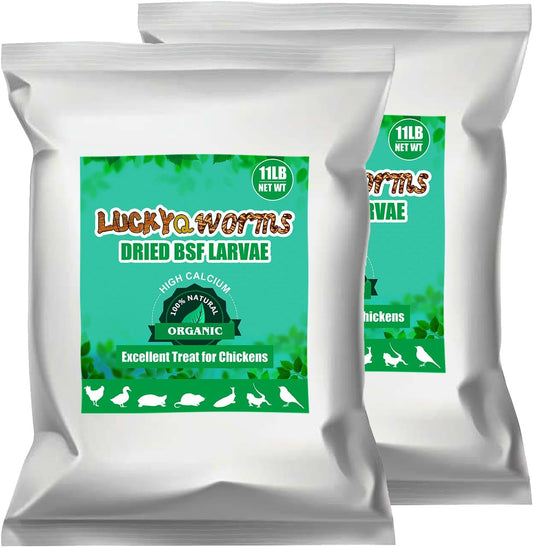 Dried Black Soldier Fly Larvae for Chickens, Ducks, and Birds