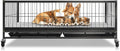Homey Pet Whelping Box for Dogs and Puppies - Stackable Heavy Duty