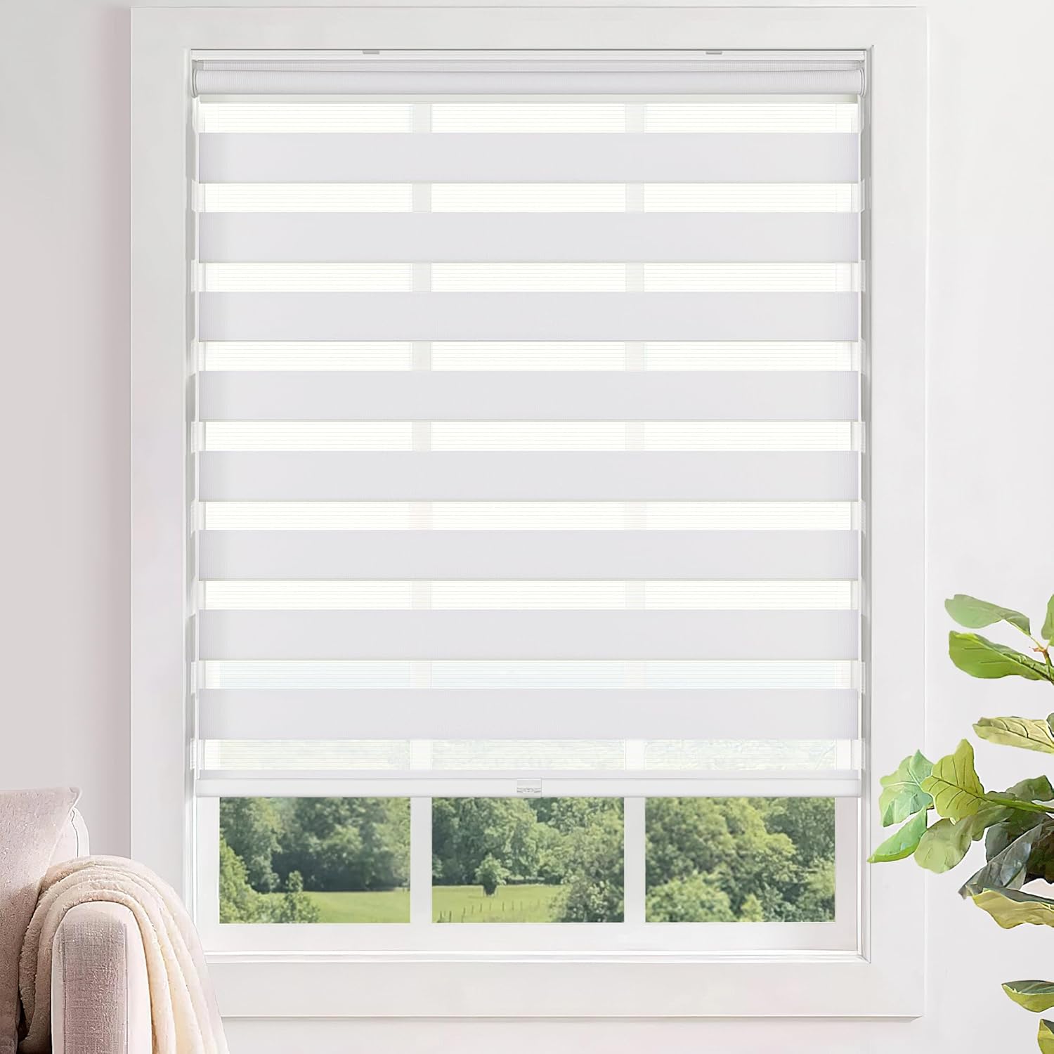 Cordless Zebra Blinds for Windows - No Tools, Easy Install