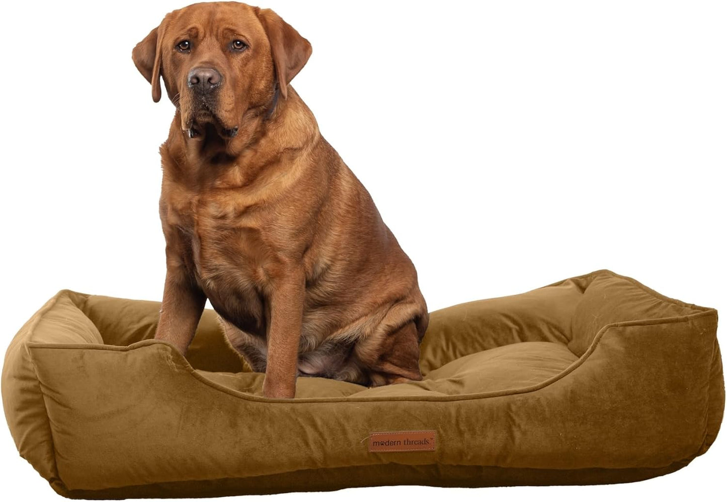 Modern Threads Luxury Dog Bed - Cozy Tufted Velvet Cushion